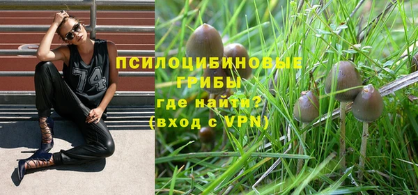 трава Баксан