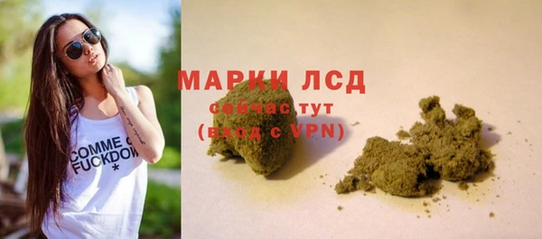 спайс Сосновка