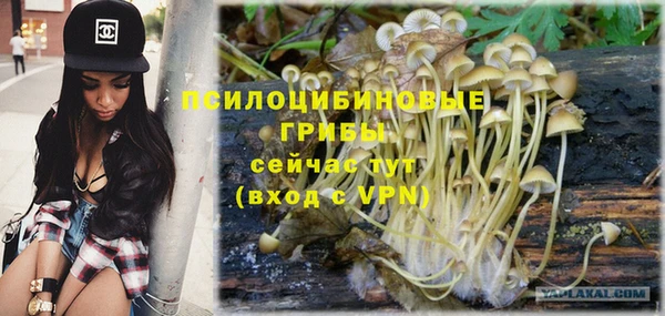 тгк Балабаново