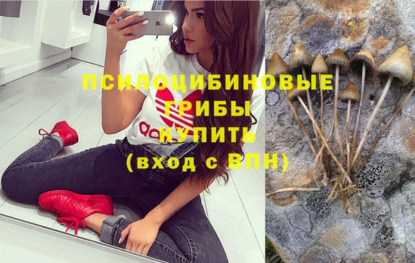 apvp Балахна