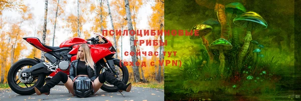 трава Баксан